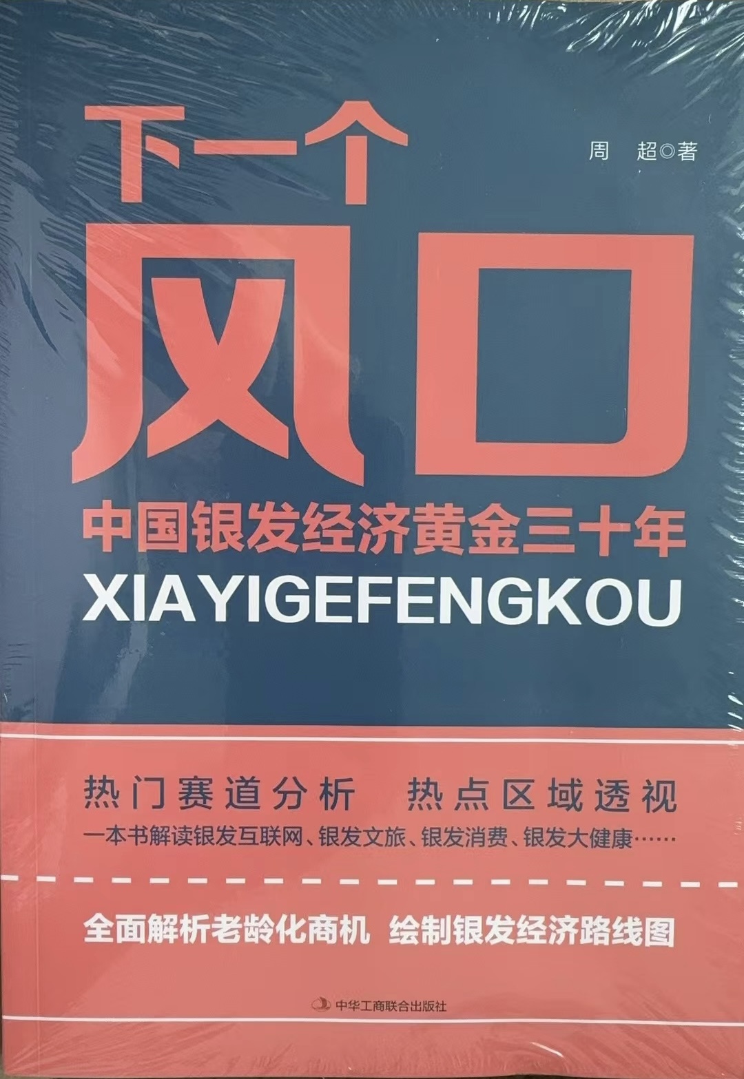 《下一个风口：中国银发经济黄金三十年》封面